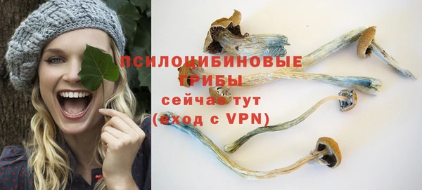 мет Абаза