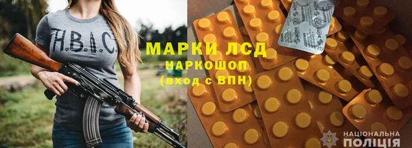 тгк Снежинск