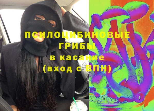 тгк Снежинск